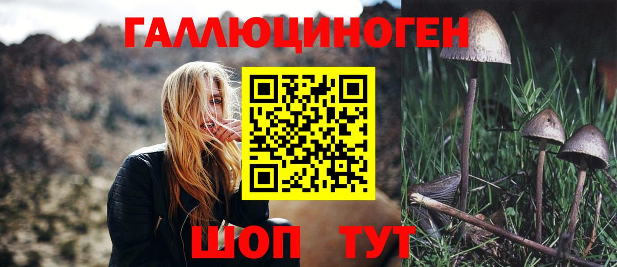 сколько стоит  Псилоцибиновые грибы прущие грибы  Вход с VPN  Галлюциногенные грибы Psilocybe  Россия 