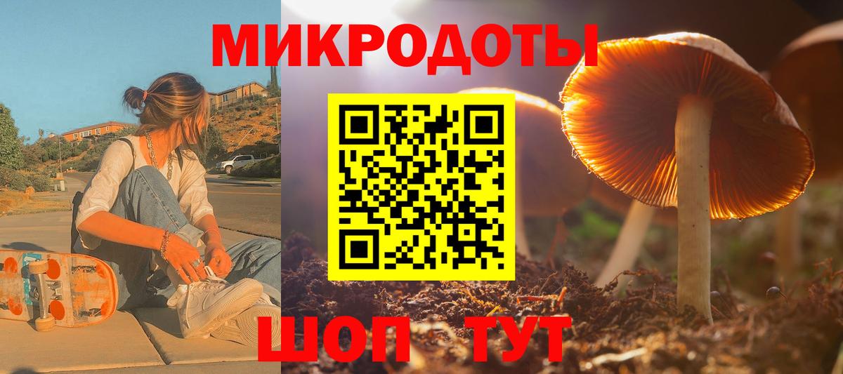 Галлюциногенные грибы Psilocybine cubensis Россия